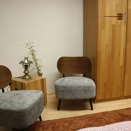 Apartment Golden Lion Deluxe City Nürnberg